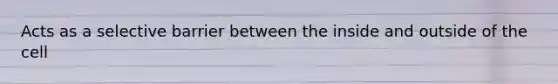Acts as a selective barrier between the inside and outside of the cell