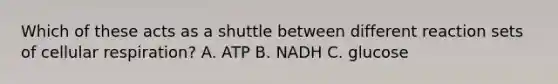 Which of these acts as a shuttle between different reaction sets of cellular respiration? A. ATP B. NADH C. glucose