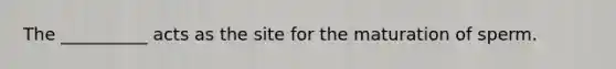 The __________ acts as the site for the maturation of sperm.