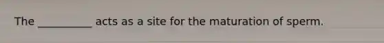 The __________ acts as a site for the maturation of sperm.