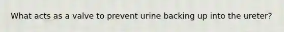 What acts as a valve to prevent urine backing up into the ureter?