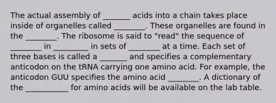 The actual assembly of _______ acids into a chain takes place inside of organelles called ________. These organelles are found in the ________. The ribosome is said to "read" the sequence of ________ in _________ in sets of ________ at a time. Each set of three bases is called a _______ and specifies a complementary anticodon on the tRNA carrying one amino acid. For example, the anticodon GUU specifies the amino acid ________. A dictionary of the ___________ for amino acids will be available on the lab table.