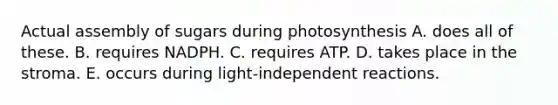 Actual assembly of sugars during photosynthesis A. does all of these. B. requires NADPH. C. requires ATP. D. takes place in the stroma. E. occurs during light-independent reactions.