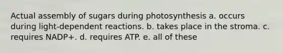 Actual assembly of sugars during photosynthesis a. occurs during light-dependent reactions. b. takes place in the stroma. c. requires NADP+. d. requires ATP. e. all of these