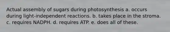 Actual assembly of sugars during photosynthesis a. occurs during light-independent reactions. b. takes place in the stroma. c. requires NADPH. d. requires ATP. e. does all of these.