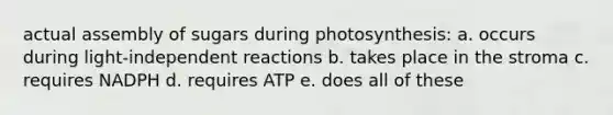 actual assembly of sugars during photosynthesis: a. occurs during light-independent reactions b. takes place in the stroma c. requires NADPH d. requires ATP e. does all of these