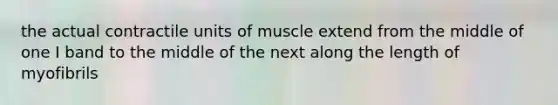 the actual contractile units of muscle extend from the middle of one I band to the middle of the next along the length of myofibrils