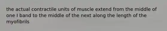 the actual contractile units of muscle extend from the middle of one I band to the middle of the next along the length of the myofibrils