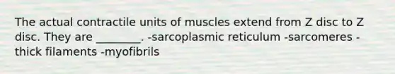 The actual contractile units of muscles extend from Z disc to Z disc. They are ________. -sarcoplasmic reticulum -sarcomeres -thick filaments -myofibrils