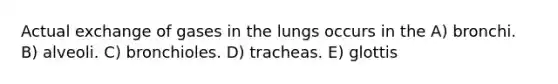 Actual exchange of gases in the lungs occurs in the A) bronchi. B) alveoli. C) bronchioles. D) tracheas. E) glottis