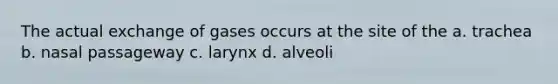 The actual exchange of gases occurs at the site of the a. trachea b. nasal passageway c. larynx d. alveoli