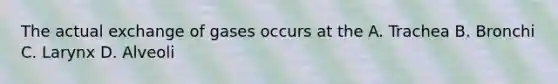 The actual exchange of gases occurs at the A. Trachea B. Bronchi C. Larynx D. Alveoli