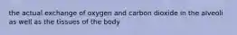 the actual exchange of oxygen and carbon dioxide in the alveoli as well as the tissues of the body