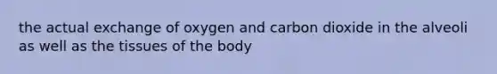 the actual exchange of oxygen and carbon dioxide in the alveoli as well as the tissues of the body