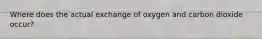 Where does the actual exchange of oxygen and carbon dioxide occur?