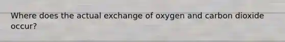 Where does the actual exchange of oxygen and carbon dioxide occur?