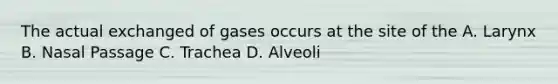 The actual exchanged of gases occurs at the site of the A. Larynx B. Nasal Passage C. Trachea D. Alveoli