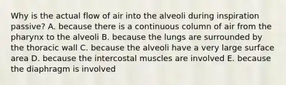 Why is the actual flow of air into the alveoli during inspiration passive? A. because there is a continuous column of air from the pharynx to the alveoli B. because the lungs are surrounded by the thoracic wall C. because the alveoli have a very large surface area D. because the intercostal muscles are involved E. because the diaphragm is involved