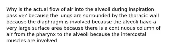 Why is the actual flow of air into the alveoli during inspiration passive? because the lungs are surrounded by the thoracic wall because the diaphragm is involved because the alveoli have a very large surface area because there is a continuous column of air from the pharynx to the alveoli because the intercostal muscles are involved