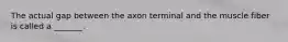 The actual gap between the axon terminal and the muscle fiber is called a _______.