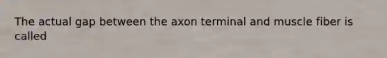 The actual gap between the axon terminal and muscle fiber is called