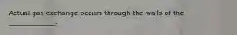 Actual gas exchange occurs through the walls of the ______________.