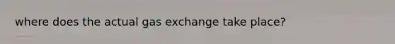 where does the actual gas exchange take place?