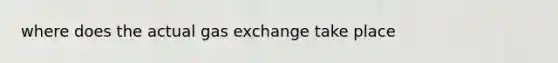 where does the actual gas exchange take place