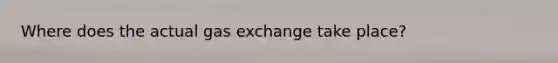 Where does the actual gas exchange take place?