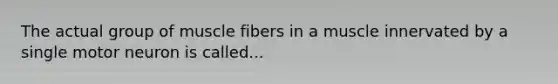 The actual group of muscle fibers in a muscle innervated by a single motor neuron is called...