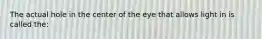 The actual hole in the center of the eye that allows light in is called the: