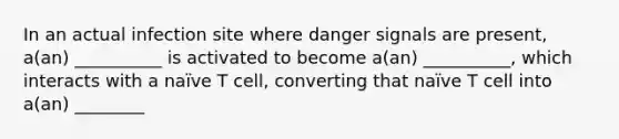 In an actual infection site where danger signals are present, a(an) __________ is activated to become a(an) __________, which interacts with a naïve T cell, converting that naïve T cell into a(an) ________