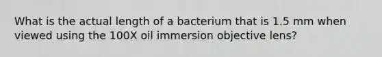 What is the actual length of a bacterium that is 1.5 mm when viewed using the 100X oil immersion objective lens?