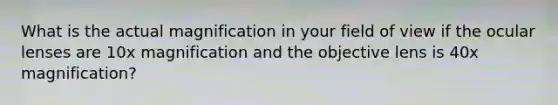 What is the actual magnification in your field of view if the ocular lenses are 10x magnification and the objective lens is 40x magnification?