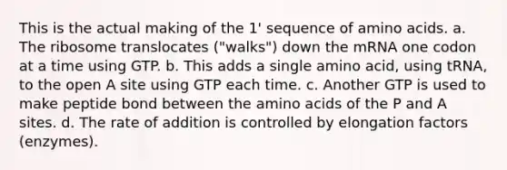 This is the actual making of the 1' sequence of amino acids. a. The ribosome translocates ("walks") down the mRNA one codon at a time using GTP. b. This adds a single amino acid, using tRNA, to the open A site using GTP each time. c. Another GTP is used to make peptide bond between the amino acids of the P and A sites. d. The rate of addition is controlled by elongation factors (enzymes).