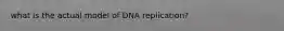 what is the actual model of DNA replication?