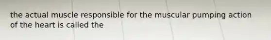 the actual muscle responsible for the muscular pumping action of <a href='https://www.questionai.com/knowledge/kya8ocqc6o-the-heart' class='anchor-knowledge'>the heart</a> is called the