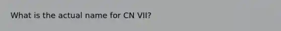 What is the actual name for CN VII?