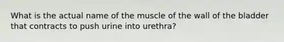 What is the actual name of the muscle of the wall of the bladder that contracts to push urine into urethra?