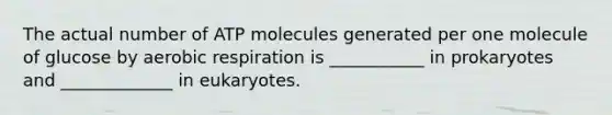 The actual number of ATP molecules generated per one molecule of glucose by aerobic respiration is ___________ in prokaryotes and _____________ in eukaryotes.