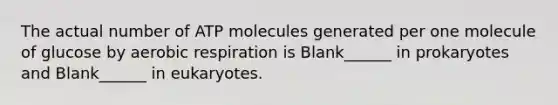 The actual number of ATP molecules generated per one molecule of glucose by aerobic respiration is Blank______ in prokaryotes and Blank______ in eukaryotes.