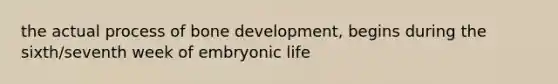 the actual process of bone development, begins during the sixth/seventh week of embryonic life