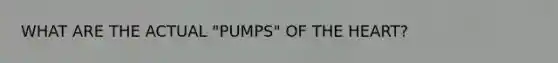 WHAT ARE THE ACTUAL "PUMPS" OF THE HEART?