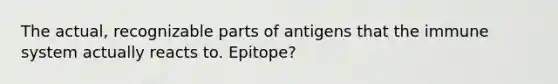 The actual, recognizable parts of antigens that the immune system actually reacts to. Epitope?