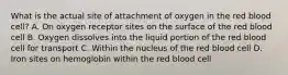 What is the actual site of attachment of oxygen in the red blood​ cell? A. On oxygen receptor sites on the surface of the red blood cell B. Oxygen dissolves into the liquid portion of the red blood cell for transport C. Within the nucleus of the red blood cell D. Iron sites on hemoglobin within the red blood cell