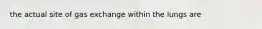 the actual site of gas exchange within the lungs are