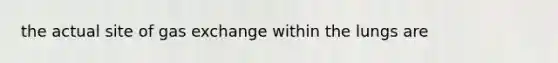the actual site of <a href='https://www.questionai.com/knowledge/kU8LNOksTA-gas-exchange' class='anchor-knowledge'>gas exchange</a> within the lungs are