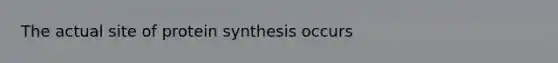 The actual site of <a href='https://www.questionai.com/knowledge/kVyphSdCnD-protein-synthesis' class='anchor-knowledge'>protein synthesis</a> occurs