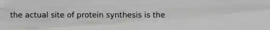 the actual site of <a href='https://www.questionai.com/knowledge/kVyphSdCnD-protein-synthesis' class='anchor-knowledge'>protein synthesis</a> is the