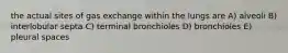 the actual sites of gas exchange within the lungs are A) alveoli B) interlobular septa C) terminal bronchioles D) bronchioles E) pleural spaces